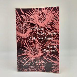 A Flower Whose Name I Do Not Know by David Romtvedt book