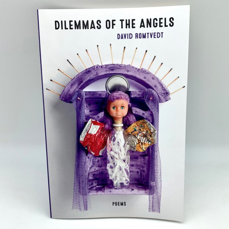 Dilemmas of Angels by David Romtvedt collected poemsbook