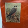 Day Tripper Bag by Traci Jo Designs - TJ268 - Image 2